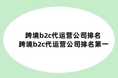 跨境b2c代运营公司排名 跨境b2c代运营公司排名第一